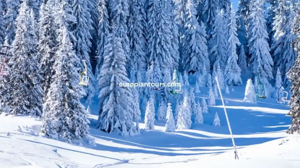 السياحة في البوسنة شهر ديسمبر 12 december
