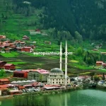 سائق في الشمال التركي