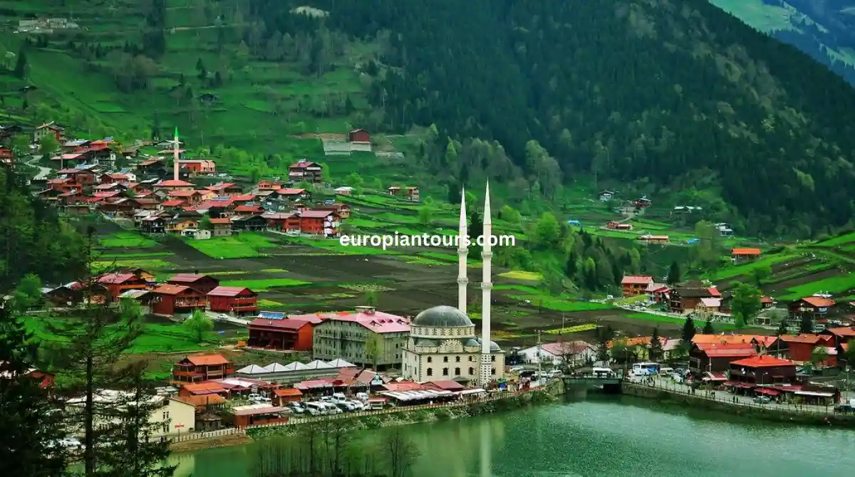 سائق في الشمال التركي